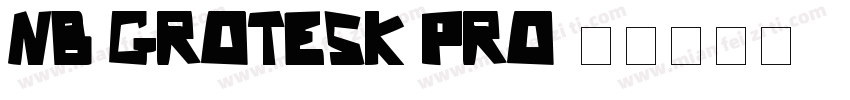NB Grotesk Pro字体转换